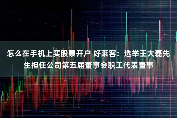 怎么在手机上买股票开户 好莱客：选举王大磊先生担任公司第五届董事会职工代表董事