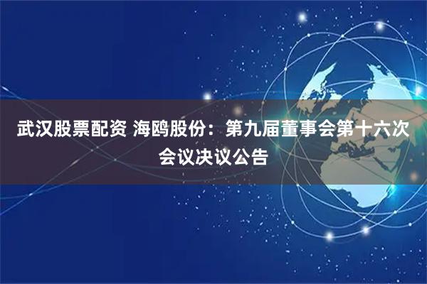 武汉股票配资 海鸥股份：第九届董事会第十六次会议决议公告