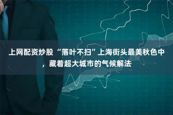 上网配资炒股 “落叶不扫”上海街头最美秋色中，藏着超大城市的气候解法